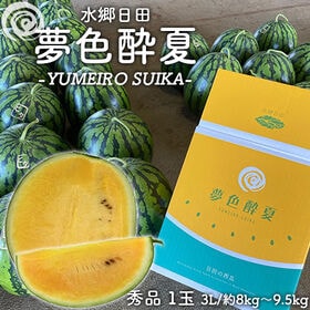 【予約受付】7/2~順次出荷【3L(8-9.5kg)/大玉】...