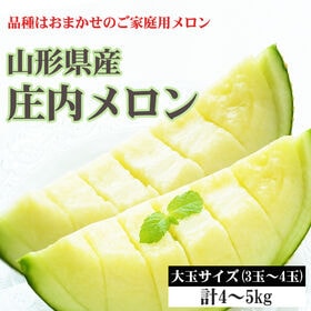 【予約受付】7/10~順次発送　庄内メロン 青肉 大玉 計4~5kg (3~4玉) 露地 ご家庭用 | 庄内砂丘産のみずみずしいフレッシュな青肉メロン。とろけるような食感です。