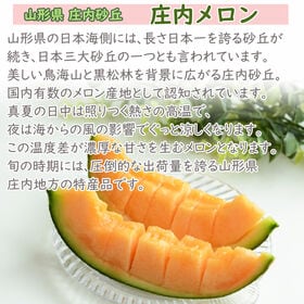 【予約受付】7/10~順次発送　庄内メロン 赤肉 大玉 計4~5kg (3~4玉) 露地 ご家庭用