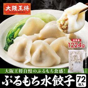 【日替わり数量限定】【72個入り】超特盛 ぷるもち水餃子【先行チケット利用NG】