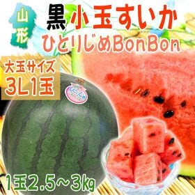 【予約受付】7/20~順次出荷【3L/1玉】山形県産 黒小玉すいか ひとりじめbonbon | 2.5kg~3kg朝採れ出荷！甘くて瑞々しい旬のご褒美！たっぷりの水分で夏バテ予防にも