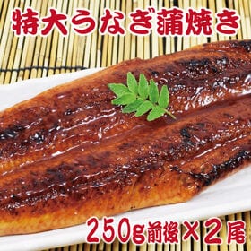 【2尾(約250g×2尾)】＜特大＞うなぎ蒲焼 タレ、山椒付き　計約500gの大容量