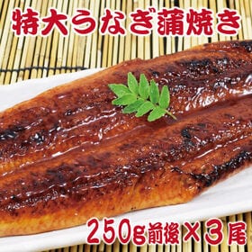 【3尾(約250g×3尾)】＜特大＞うなぎ蒲焼 タレ、山椒付き　計約750gの大容量