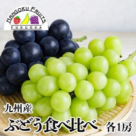 【予約受付】7月上旬~順次出荷【九州産】ぶどう食べ比べ 各1房