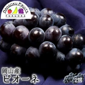 【予約受付】7月中旬~順次出荷【岡山 】2房　ピオーネ | 瑞々しい感動の味わいで人気のピオーネ。