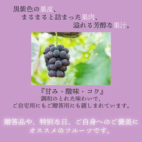 【予約受付】6月下旬~順次出荷【岡山 】3房　ピオーネ