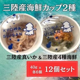 【2種計12個/各6個×2種×各40g】三陸産 海鮮カップ（真いか＆4種海鮮うに・いくら入り）