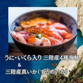 【2種計12個/各6個×2種×各40g】三陸産 海鮮カップ（真いか＆4種海鮮うに・いくら入り）