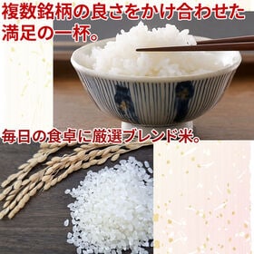 日替わり数量限定】【10kg】令和7年産 国産 ブレンド米 (無洗米)【先行
