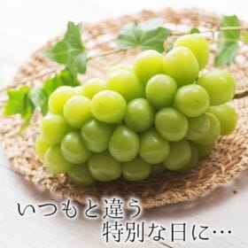 【予約受付】7月下旬~順次出荷【岡山】ギフト箱　シャインマスカット 「晴王」