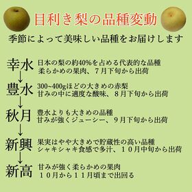 【予約受付】7月下旬~順次出荷【九州】 2.5kg 旬の和梨