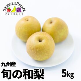 【予約受付】7月下旬~順次出荷【九州】 5kg 旬の和梨