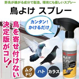ニッショウ機器 【2個セット】鳥よけ スプレー270ml カラス・鳩・ムクドリに