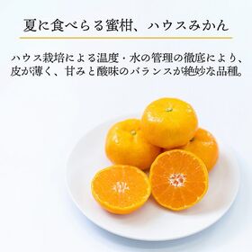 【予約受付】6月中旬~順次出荷【佐賀】約5kg   ハウスみかん