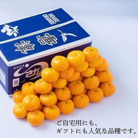 【予約受付】6月中旬~順次出荷【佐賀】約5kg   ハウスみかん