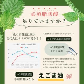 【3g×100包】朝日《個包装》えごま油/えごまオイル オメガ3