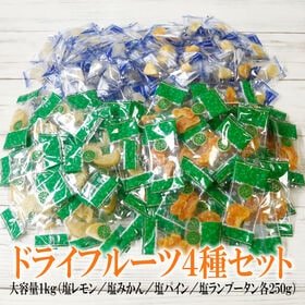 【1kg】ドライフルーツ4種セット  （個包装）【熱中症対策】ひとくちで巡る、フルーツの楽園