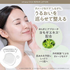 シトラナ CICA リペアローション120ml　40本セット