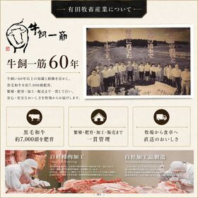 【牧場直送】特製ダレ漬け 国産牛ハラミ肉 700g｜和牛入り