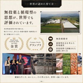 【牧場直送】特製ダレ漬け 国産牛ハラミ肉 700g｜和牛入り