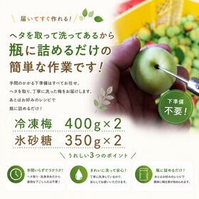 香川県三豊市産 梅 ☆梅シロップkit☆ 初心者でも失敗しない♪