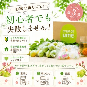 香川県三豊市産 梅 ☆梅シロップkit☆ 初心者でも失敗しない♪