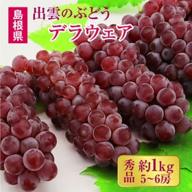 【予約受付】7/1~順次出荷【秀品 約1.0kg(5~6房)】島根県出雲市産 デラウェア | 全国でも有数のデラウェア産地の島根県よりお届け♪
