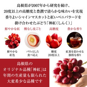 【予約】7/13~順次出荷【秀品 約1.0kg(1~2房)】島根県出雲市産 神紅 (しんく) ぶどう