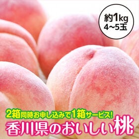 【予約受付】6/26~順次出荷【約1kg(4~5玉入)】香川県産 桃(もも) 四国最大の桃の産地 | 2箱同時お申込みで1箱おまけ!! 四国の桃をぜひ皆さまでお召し上がりください♪