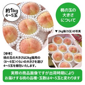 【予約受付】6/26~順次出荷【約1kg(4~5玉入)】香川県産 桃(もも) 四国最大の桃の産地