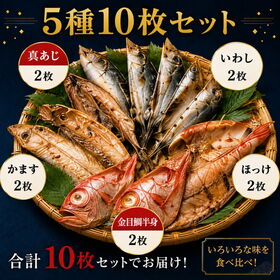 【5種×2枚 計10枚セット】静岡県沼津産  骨まで食べられる干物「まるごとくん」