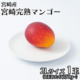 【父の日ギフト予約受付】6/16~6/19順次出荷【宮崎】2L1玉　完熟マンゴー | 父の日に「ありがとう」の気持ちを込めて…