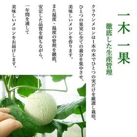 【父の日ギフト予約受付】6/16~6/19順次出荷【静岡】 1玉ギフト箱　クラウンメロン