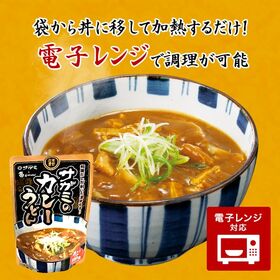和食麺処サガミ 麺屋の和ダシが利いた濃厚コク旨カレーうどんつゆ 2食入　中辛 具入