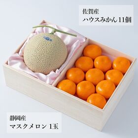 【予約受付】6月中旬~順次出荷 フルーツセット　N07(マスクメロン・ハウスみかん)