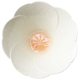 Wa no Bi 富士桜 ペアボウル【熨斗可】