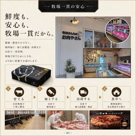 30個【牧場直送】この華牛 生ハンバーグ