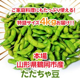 【予約受付】8/1~順次出荷【4kg】 山形県鶴岡市産 だだちゃ豆 バラ＜秀品＞