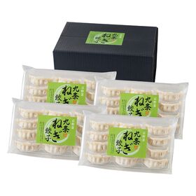【12個入×4袋/計960g】九条ねぎ餃子