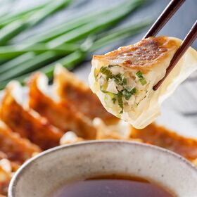 【12個入×4袋/計960g】九条ねぎ餃子