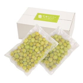 【1kg(500g×2)】山形 冷凍シャインマスカット