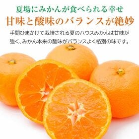 【1kg(化粧箱入)】唐津温州ハウスみかん
