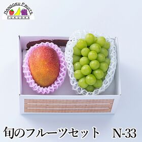 【予約受付】7月上旬~順次出荷 フルーツセットN33(完熟マンゴー・シャインマスカット)