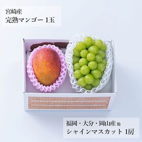 【予約受付】7月上旬~順次出荷 フルーツセットN33(完熟マンゴー・シャインマスカット)