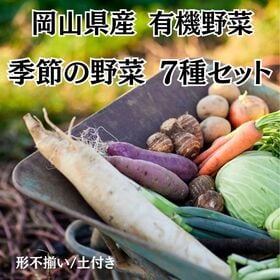 【7種約5kg】岡山県産 鬼ノ城農園おまかせ有機野菜セット