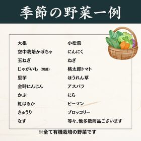 【7種約5kg】岡山県産 鬼ノ城農園おまかせ有機野菜セット