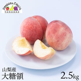 【予約受付】7月中旬~順次出荷【山梨】2.5kg   大糖領（桃）