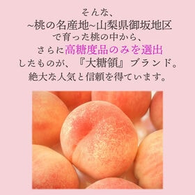【予約受付】7月中旬~順次出荷【山梨】2.5kg   大糖領（桃）