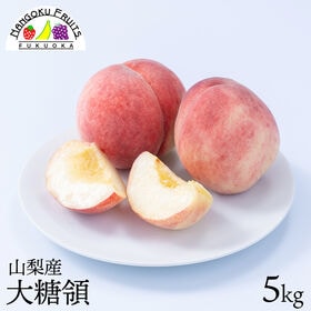 【予約受付】7月中旬~順次出荷【山梨】5kg   大糖領（桃）