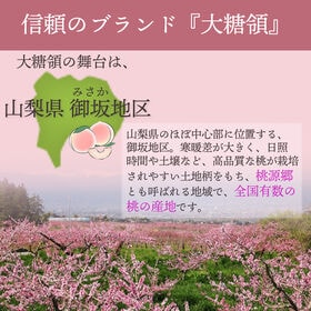 【予約受付】7月中旬~順次出荷【山梨】5kg   大糖領（桃）